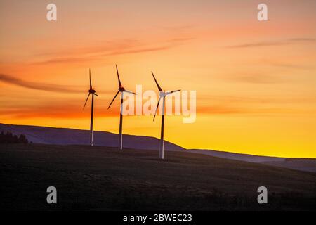 Éoliennes. Plateau de Cezallier. Parc naturel régional des Volcans d'Auvergne. Puy de Dôme. Auvergne. France Banque D'Images