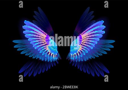 Ailes d'oiseau-mouches transparentes, lumineuses, bleues et irisées sur fond sombre. Illustration de Vecteur
