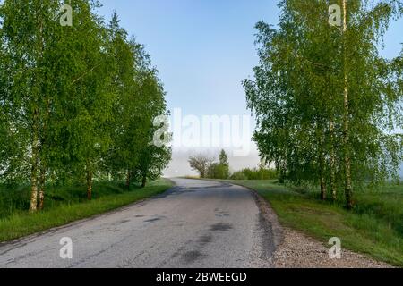 paysage de brouillard avec un virage de route vide, le long des bords des silhouettes d'arbre dans le brouillard Banque D'Images