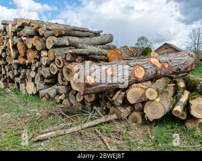 photo avec pile de bois de sciage, réserve de pile de bois pour l'hiver. Pile de bois de chauffage haché. Texture de fond bois. Banque D'Images