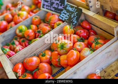 Tomates rouges de différentes qualités à vendre dans les boîtes des jardiniers dans le pays méditerranéen en été Banque D'Images