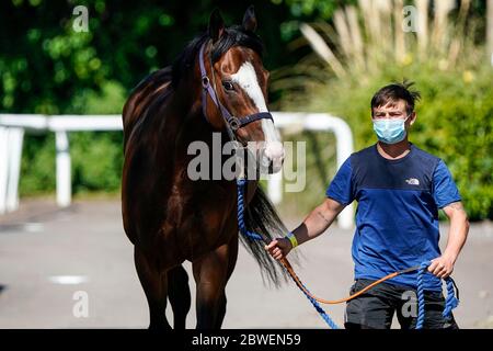 Un marié mène un cheval de course aux écuries après avoir atteint la piste de l' hippodrome de Newcastle . Date de publication : lundi 1er juin 2020. Horse Racing au Royaume-Uni est revenu à l'action lundi après la fermeture du coronavirus. Voir PA Story RACING Newcastle. Le crédit photo devrait se lire comme suit : Alan Crowhurst/PA Wire Banque D'Images