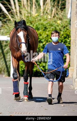 Un marié mène un cheval de course aux écuries après avoir atteint la piste de l' hippodrome de Newcastle . Date de publication : lundi 1er juin 2020. Horse Racing au Royaume-Uni est revenu à l'action lundi après la fermeture du coronavirus. Voir PA Story RACING Newcastle. Le crédit photo devrait se lire comme suit : Alan Crowhurst/PA Wire Banque D'Images