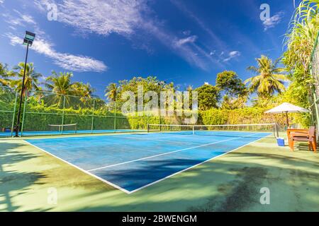 Un cadre sportif et récréatif incroyable comme un court de tennis sur un paysage tropical, des palmiers et un ciel bleu. Sports dans le concept tropique Banque D'Images