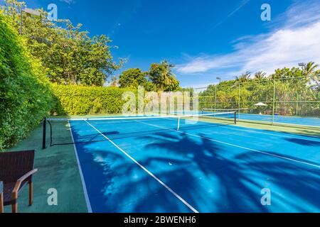 Un cadre sportif et récréatif incroyable comme un court de tennis sur un paysage tropical, des palmiers et un ciel bleu. Sports dans le concept tropique Banque D'Images