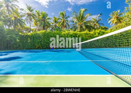 Un cadre sportif et récréatif incroyable comme un court de tennis sur un paysage tropical, des palmiers et un ciel bleu. Sports dans le concept tropique Banque D'Images