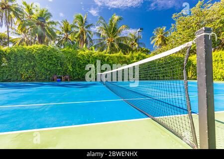 Un cadre sportif et récréatif incroyable comme un court de tennis sur un paysage tropical, des palmiers et un ciel bleu. Sports dans le concept tropique Banque D'Images