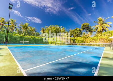 Un cadre sportif et récréatif incroyable comme un court de tennis sur un paysage tropical, des palmiers et un ciel bleu. Sports dans le concept tropique Banque D'Images