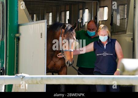 Un marié mène un cheval de course aux écuries après avoir atteint l' hippodrome de Newcastle . Date de publication : lundi 1er juin 2020. Horse Racing au Royaume-Uni est revenu à l'action lundi après la fermeture du coronavirus. Voir PA Story RACING Newcastle. Le crédit photo devrait se lire comme suit : Alan Crowhurst/PA Wire Banque D'Images