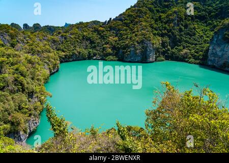 Lagune d'eau salée intérieure appelée Emerald Lake Thale Nai dans le parc marin national d'Ang Thong Banque D'Images