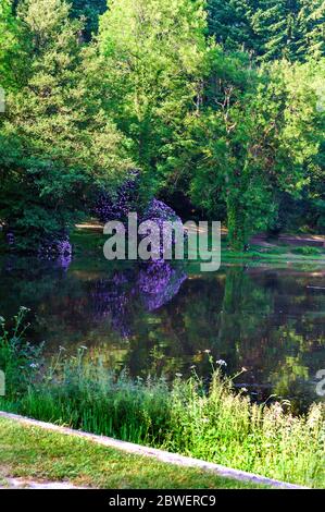 Promenade matinale autour de Warminster- Shearwater Banque D'Images