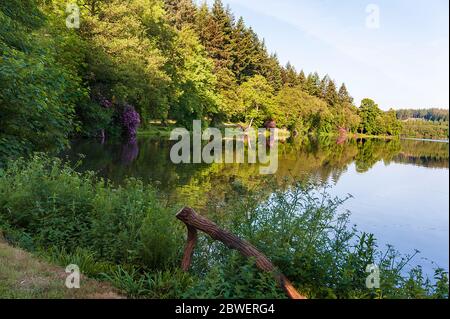 Promenade matinale autour de Warminster- Shearwater Banque D'Images