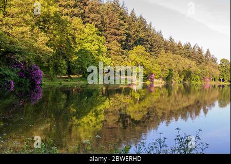 Promenade matinale autour de Warminster- Shearwater Banque D'Images