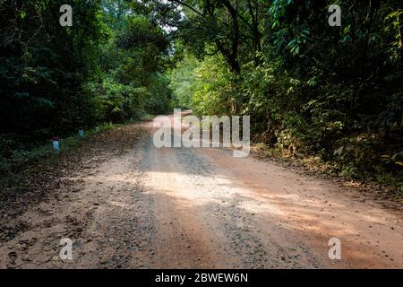 Paysage d'été sur l'île tropicale Phu Quoc au Vietnam. Belle route de moto à travers la jungle à Starfish plage, Rach Ven dans Ganh Dau cape. Banque D'Images