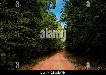 Paysage d'été sur l'île tropicale Phu Quoc au Vietnam. Belle route de moto à travers la jungle à Starfish plage, Rach Ven dans Ganh Dau cape. Banque D'Images