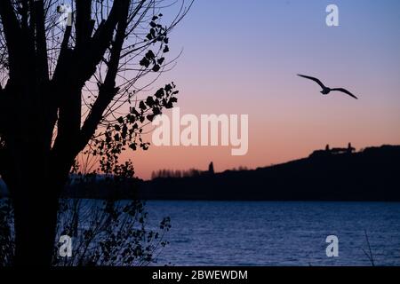 Aperçu du lac Trasimène en Ombrie, Italie, au coucher du soleil, avec un oiseau en vol Banque D'Images