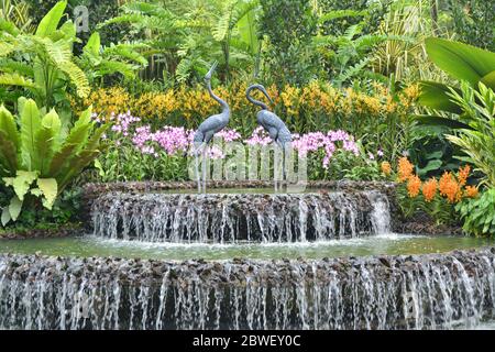 Fontaine de jardin d'orchidée à Singapour Banque D'Images