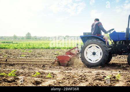 Un agriculteur sur un tracteur cultive un champ de ferme. Broyage, émiettage et mélange du sol. Broyage et relâchement du sol, élimination des plantes et des racines du passé harv Banque D'Images