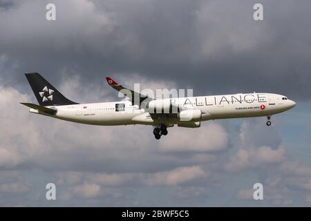 Turkish Airlines Airbus A340-300 en livrée spéciale Star Alliance avec enregistrement TC-JDL en finale courte pour l'aéroport d'Amsterdam Schiphol. Banque D'Images