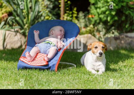 Bébé garçon se trouve sur une chaise longue avec chien sur pelouse verte. Se détendre et de vacances concept Banque D'Images