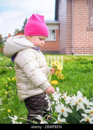 Petite fille dans une veste chaude et un chapeau rose recueille les pissenlits jaunes. Bonne enfance. Une fille recueille un bouquet de pissenlits pour une couronne Banque D'Images