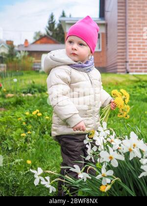 Petite fille dans une veste chaude et un chapeau rose recueille les pissenlits jaunes. Bonne enfance. Une fille recueille un bouquet de pissenlits pour une couronne Banque D'Images