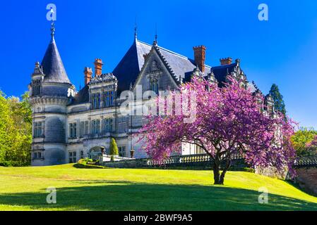 Châteaux romantiques de la vallée de la Loire, château de Bourdaisiere, France Banque D'Images