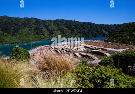 Waimahara Wharf, Shakespeare Bay, Picton, Île du Sud, Nouvelle-Zélande, Océanie. Banque D'Images