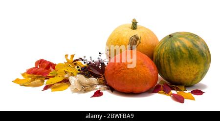 Citrouilles et feuilles isolées sur fond blanc. Joyeux Thanksgiving Banque D'Images