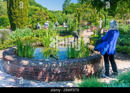 Great Torrington, North Devon, Angleterre. Lundi 1er juin 2020. Météo Royaume-Uni. Pendant un bel été, RHS Rosemoor a ouvert ses portes aux membres pour la première fois depuis le confinement. Seuls les visiteurs préréservés arrivant à des créneaux horaires définis ont pu facilement prendre des distances. Crédit : Terry Mathews/Alay Live News Banque D'Images