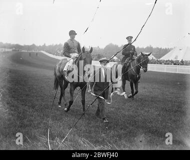 À Royal Ascot . ' Chevalier du Garter ' , le cheval du Roi ' , vainqueur des piquets de Coventry . 13 mars 1923 Banque D'Images