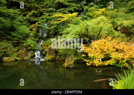 Vue sur le jardin japonais avec arbres, buissons, étang et chute d'eau, Portland, Oregon, États-Unis Banque D'Images