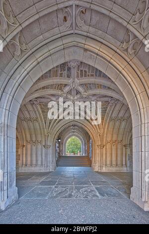 Ligue de lierre privée de l'Université de Princeton à Princeton, New Jersey Banque D'Images