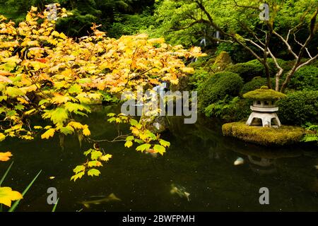 Vue sur le jardin japonais avec arbres, buissons, étang et chute d'eau, Portland, Oregon, États-Unis Banque D'Images