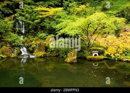 Vue sur le jardin japonais avec arbres, buissons, étang et chute d'eau, Portland, Oregon, États-Unis Banque D'Images