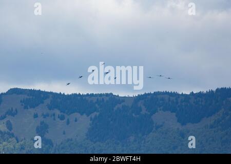 Un aperçu des avions de chasse F-16 de l'armée de l'air des États-Unis et des avions PC-9 de l'armée de l'air slovène dans deux formations d'échelon tandis qu'ils survolent la Slovénie. Six avions de chasse F-16 de la 31e Escadre de chasseurs de l'USAF stationnés à Aviano, en Italie, dans l'Aviation britannique Lockheed Martin Et trois PC-9 de la Force aérienne slovène du 15e régiment de la Force aérienne slovène ont survolé conjointement des hôpitaux et des sites d'essai Covid-19 en Slovénie pour honorer le premier jour officiel de la fin de l'épidémie en Slovénie, Et remercier tout le personnel médical et les autres pour leurs efforts durant l'épidémie de Covid-19. Banque D'Images