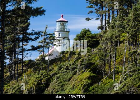 Phare de la rivière Umpqua, Cape déception, Oregon, États-Unis Banque D'Images