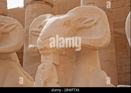 Un ancien bélier égyptien a dirigé la statue de sphinx de pierre au temple de Karnak à Louxor Banque D'Images