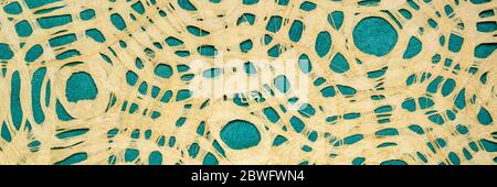 Papier d'écorce de mamate avec motif circulaire contre papier turquoise huun. Cet ancien article remonte à l'époque pré-colombienne et Méso-américaine et est sti Banque D'Images