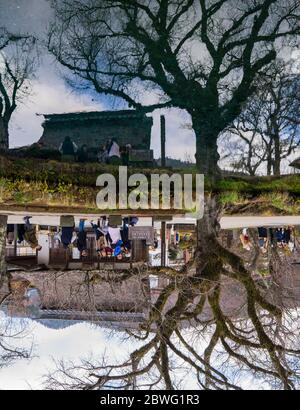 Oshino, Japon- 09Dec2019: Hakkai ou huit mers, se réfère aux huit piscines d'eau qui sont la principale attraction à Oshino Hakkai. Les visiteurs peuvent boire t Banque D'Images