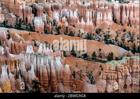 Formations rocheuses érodées de Bryce Canyon, Utah, États-Unis Banque D'Images