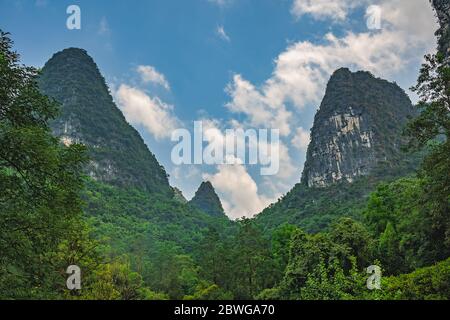 Beaux sommets et paysages verdoyants, luxuriants, tropicaux et denses de montagne karst à Yangshuo, province de Guangxi, Chine Banque D'Images