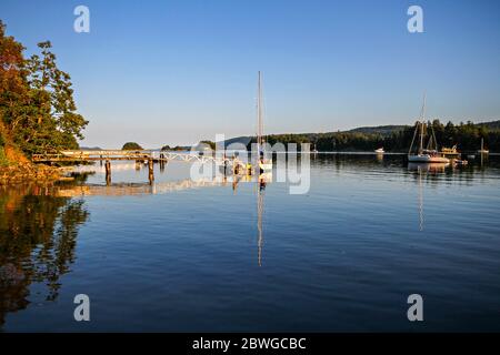 Vue sur la baie tranquille de l'île Salt Spring située dans le détroit de Géorgie, entre la Colombie-Britannique continentale et l'île de Vancouver au Canada Banque D'Images