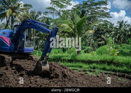 pelle hydraulique pour machines lourdes creusant la jungle et les buissons Banque D'Images