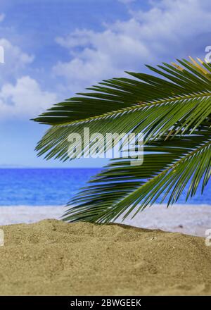 Concept vacances d'été. Plage de sable avec palmier, soleil, nuages sur ciel bleu, fond de mer flou. Espace de copie vertical de la photo et du modèle de carte postale. Banque D'Images