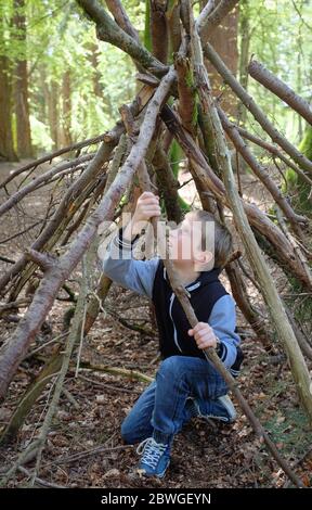 Un garçon faisant un coin dans les bois à partir de branches tombées dans la New Forest, Hampshire Banque D'Images