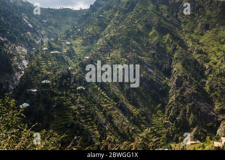 Impressionnant, maisons locales et terrain en terrasse escarpé à la falaise, Elum montagne trekking, Swat, province de Khyber Pakhtunkhwa, Pakistan, Asie du Sud, Asie Banque D'Images