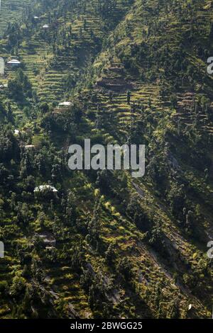 Impressionnant, maisons locales et terrain en terrasse escarpé à la falaise, Elum montagne trekking, Swat, province de Khyber Pakhtunkhwa, Pakistan, Asie du Sud, Asie Banque D'Images