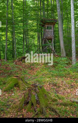 Cachette surélevée sur la montagne Kesselberg en Bavière Banque D'Images