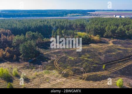 Fumée sur la forêt, vue aérienne de feu sauvage. Terre brûlée et troncs d'arbres après un feu de printemps dans la forêt. Champ noir brûlé. Incident extraordinaire. Con Banque D'Images